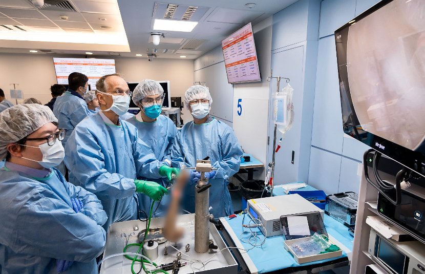 HK Wrist Course 2024 - Workshops  - 81 of 241